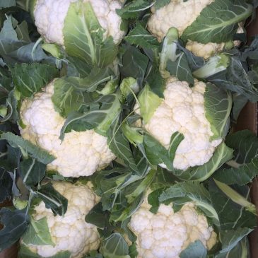 Cauliflower