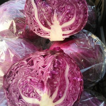 Cabbage